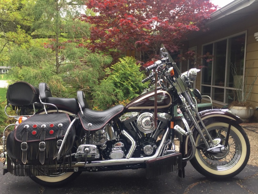 ���C���ʐ^